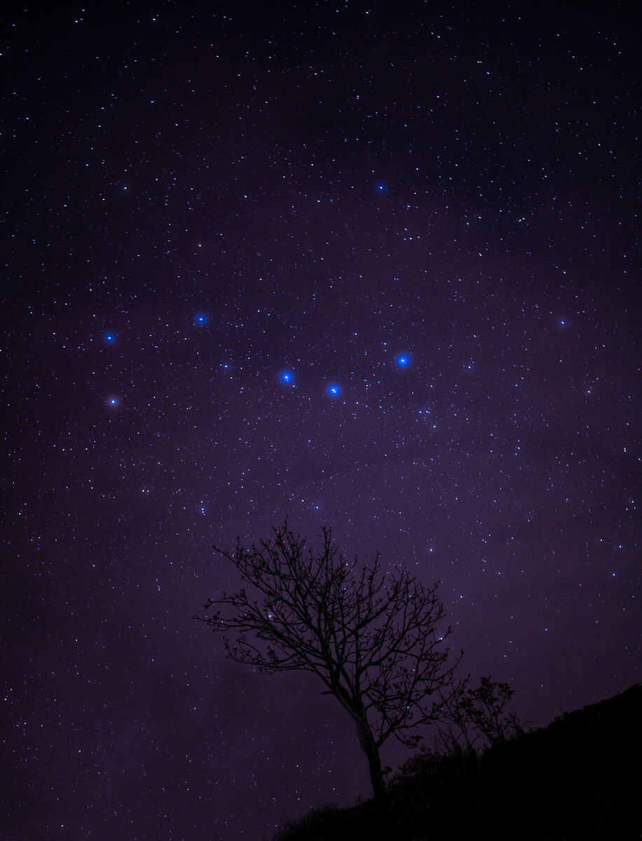 紫微斗数飞星派看流年_2019紫微看流年爱情_紫微流年看买房