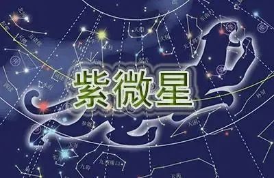 紫微星对解析紫微命盘解析星