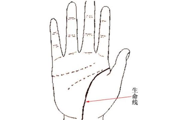 分叉的生命线代表什么  不一定不吉利