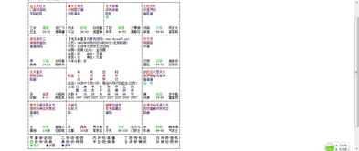 紫微斗数飞星什么意思