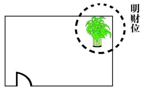 西南方位风水放什么_西南方向放什么可以聚财_西南方位招财风水布局