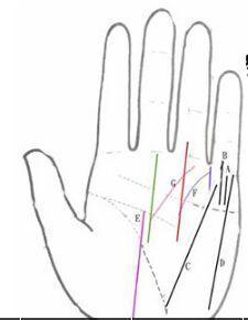 左手看手相算命_左手相算命图解_左手怎么算卦