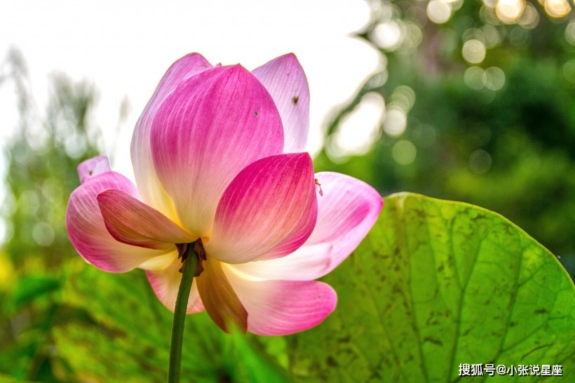 家居风水如何崔婚_家居风水催财布局_催旺婚姻的风水布局