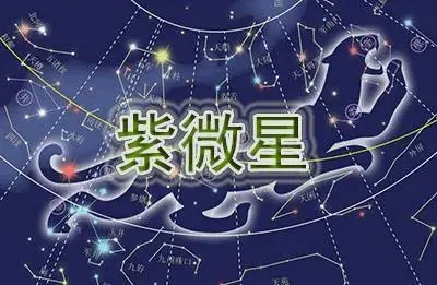 桃花星 紫薇斗数_飞星紫微斗数全书怎么样_紫微飞星盘怎么看