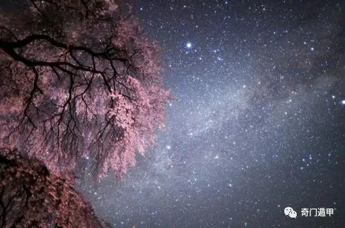 紫微斗数甲级星曜有哪些_曜星与禽星区别_桃花星 紫薇斗数