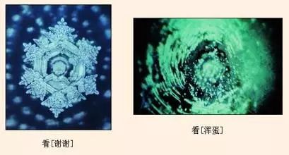 清华大学易经超级科学_科学发展观与易经_小学·科学卓越课堂观