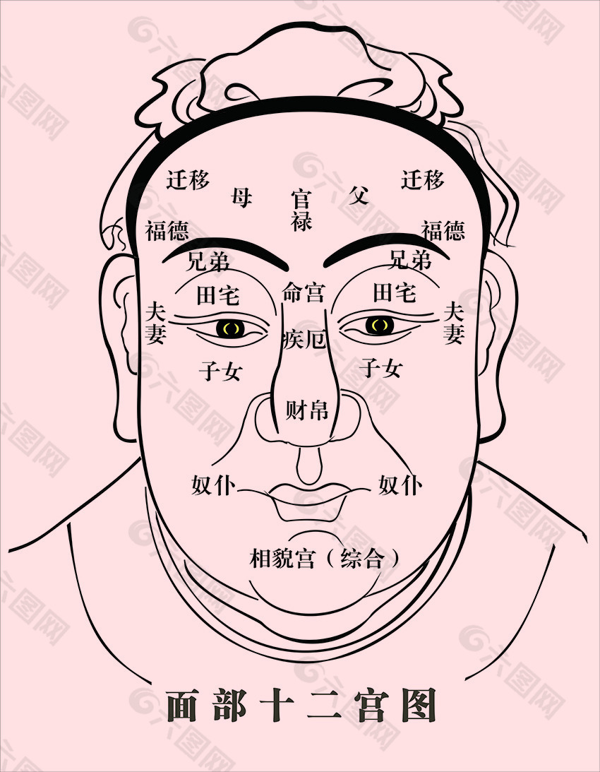 男人脸痦子图解 面相图_男性面相脸痣图解_男人脸相算命图解大全