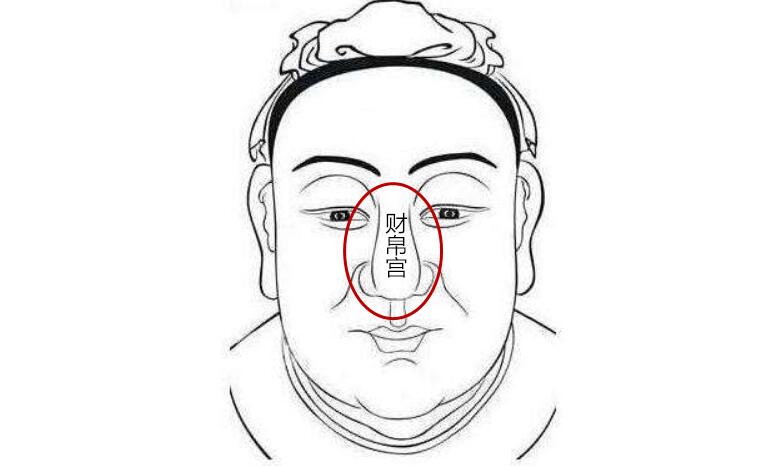 财星紫微斗数_紫薇财宫_紫微斗数哪个宫位看财
