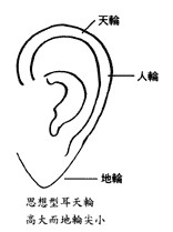 耳垂小女人面相_耳垂小的人好不好_耳垂小的面相图解