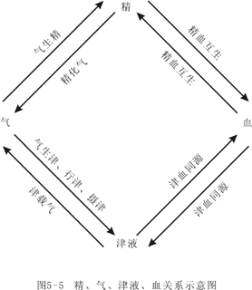 紫微斗数宫位吉凶_紫微斗数各宫含义_紫微斗数宫位不同