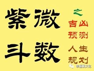 紫微斗数测爱情非常运势网_紫微命盘测爱情_紫薇斗数测爱情