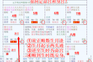 紫微斗数安星法紫微斗数软件是怎么排盘软件易经推命程式