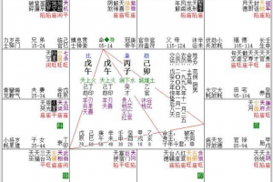 大家取得一张紫微斗数命盘,很形象的能够见到12个宫位,这也是紫微斗数