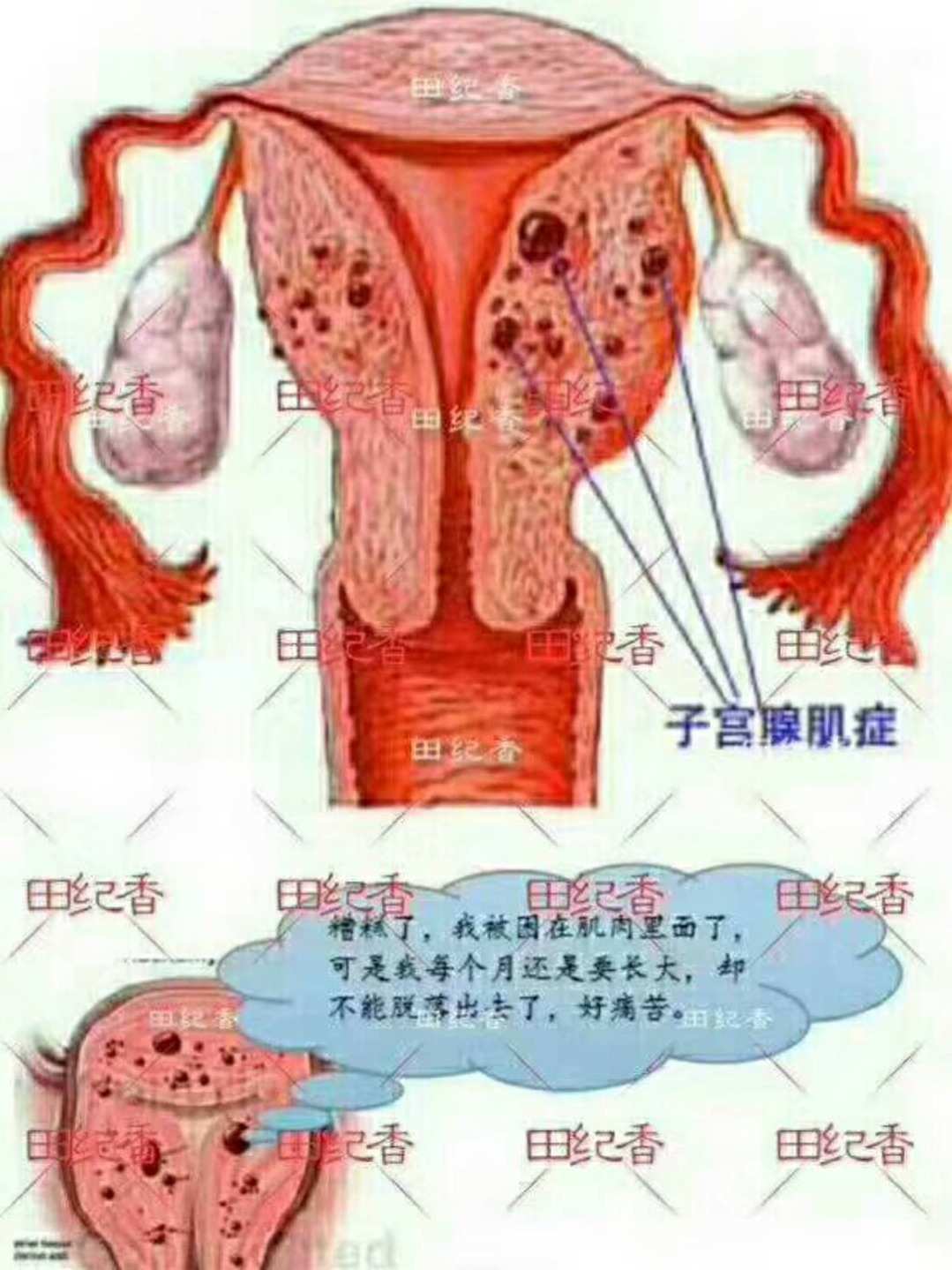 八字财运宫度论命_八字财运宫位看中什么_八字中宫位怎么看财运