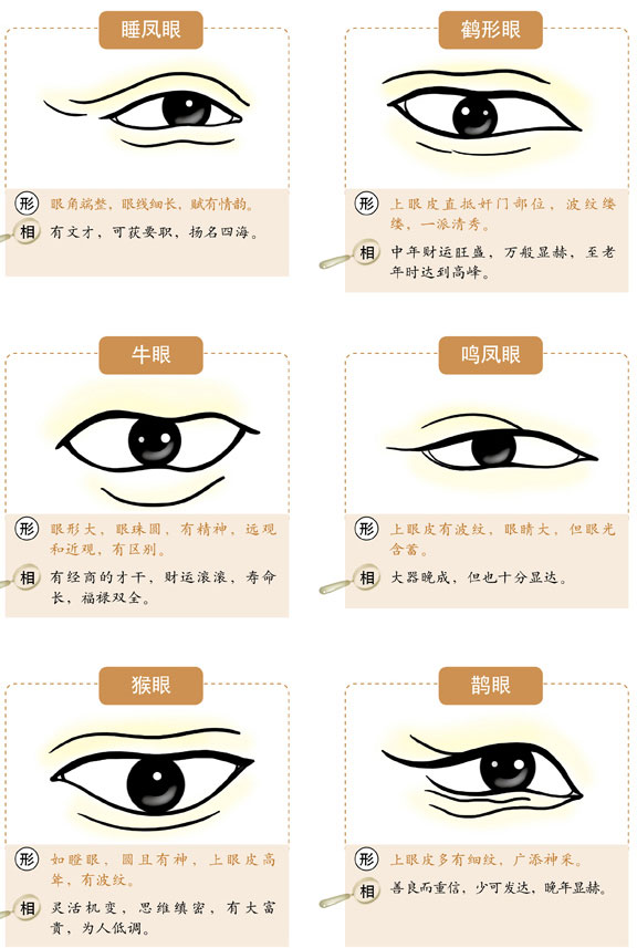 眼睛面相种类_眼睛面相类型分析图片_眼睛类型的面相分析