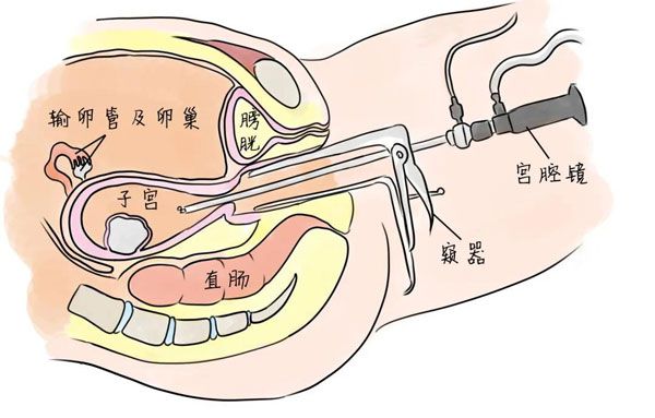 奇门遁甲天干克应_奇门遁甲干支克应表_奇门遁甲十干克应教学