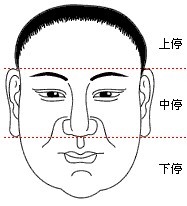 五官面相图解大全_五官面相图片_五官面相学图解