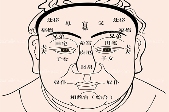 培训面相班基础知识学什么_培训面相班基础知识学什么内容_面相学基础知识培训班