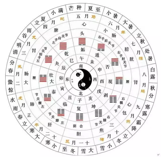 元贞利亨八字排盘网，喜用神是什么