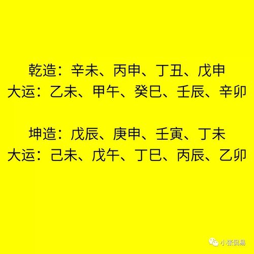 紫微斗数入门基础知识视频_紫微斗数基础知识七_紫微斗数基本术语